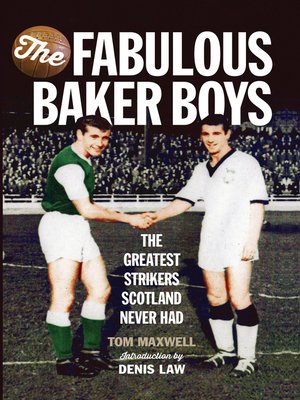 cover image of The Fabulous Baker Boys